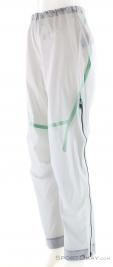 Salewa NXT PTX 3L Damen Outdoorhose, , Hell-Grau, , Damen, 0032-11602, 5638292366, 4053866764698, N1-06.jpg