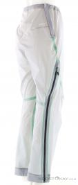 Salewa NXT PTX 3L Damen Outdoorhose, , Hell-Grau, , Damen, 0032-11602, 5638292366, 4053866764698, N1-16.jpg