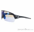 Alpina Turbo HR Q-Lite Sunglasses, Alpina, Black, , Male,Female,Unisex, 0027-10260, 5638293182, 4003692322623, N1-06.jpg