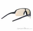 Alpina Turbo HR Q-Lite Sunglasses, , Black, , Male,Female,Unisex, 0027-10260, 5638293182, 4003692322623, N1-16.jpg