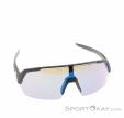 Alpina Turbo HR Q-Lite Sunglasses, , Black, , Male,Female,Unisex, 0027-10260, 5638293182, 4003692322623, N2-02.jpg