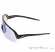 Alpina Turbo HR Q-Lite Sunglasses, , Black, , Male,Female,Unisex, 0027-10260, 5638293182, 4003692322623, N2-07.jpg