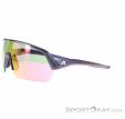 Alpina Turbo HR Q-Lite Sunglasses, Alpina, Pink, , Male,Female,Unisex, 0027-10260, 5638293183, 4003692322647, N1-06.jpg