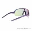 Alpina Turbo HR Q-Lite Sunglasses, , Pink, , Male,Female,Unisex, 0027-10260, 5638293183, 4003692322647, N1-16.jpg