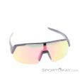 Alpina Turbo HR Q-Lite Sunglasses, , Pink, , Male,Female,Unisex, 0027-10260, 5638293183, 4003692322647, N2-02.jpg