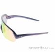 Alpina Turbo HR Q-Lite Sunglasses, Alpina, Pink, , Male,Female,Unisex, 0027-10260, 5638293183, 4003692322647, N2-07.jpg