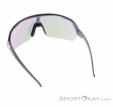 Alpina Turbo HR Q-Lite Sunglasses, Alpina, Pink, , Male,Female,Unisex, 0027-10260, 5638293183, 4003692322647, N2-12.jpg