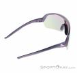 Alpina Turbo HR Q-Lite Sunglasses, Alpina, Pink, , Male,Female,Unisex, 0027-10260, 5638293183, 4003692322647, N2-17.jpg