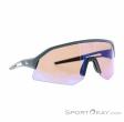 Alpina Sonic HR Q Lunettes de soleil, Alpina, Bleu, , Hommes,Femmes,Unisex, 0027-10261, 5638293184, 4003692322760, N1-01.jpg