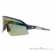 Alpina Sonic HR Q Sonnenbrille, Alpina, Gold, , Herren,Damen,Unisex, 0027-10261, 5638293185, 4003692322739, N1-06.jpg