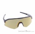 Alpina Sonic HR Q Sunglasses, Alpina, Gold, , Male,Female,Unisex, 0027-10261, 5638293185, 4003692322739, N2-02.jpg