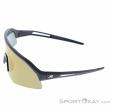 Alpina Sonic HR Q Sunglasses, Alpina, Gold, , Male,Female,Unisex, 0027-10261, 5638293185, 4003692322739, N2-07.jpg