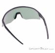 Alpina Sonic HR Q Sunglasses, Alpina, Gold, , Male,Female,Unisex, 0027-10261, 5638293185, 4003692322739, N2-12.jpg