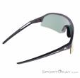 Alpina Sonic HR Q Sunglasses, Alpina, Gold, , Male,Female,Unisex, 0027-10261, 5638293185, 4003692322739, N2-17.jpg