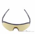 Alpina Sonic HR Q Sunglasses, Alpina, Gold, , Male,Female,Unisex, 0027-10261, 5638293185, 4003692322739, N3-03.jpg