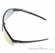 Alpina Sonic HR Q Sunglasses, Alpina, Gold, , Male,Female,Unisex, 0027-10261, 5638293185, 4003692322739, N3-08.jpg